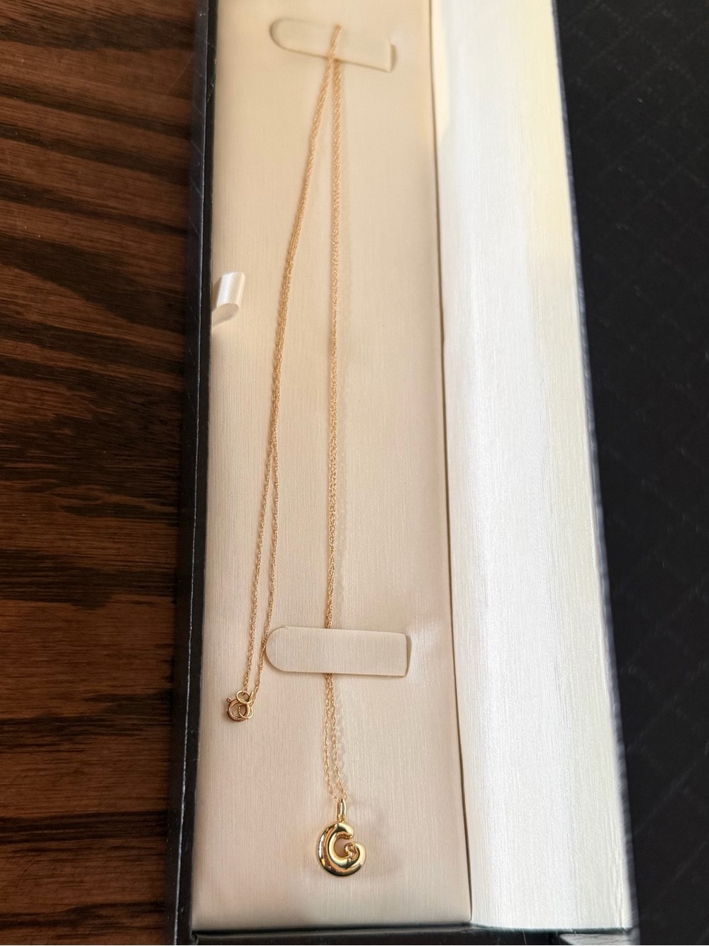 Jenny Bird Delicate Gold Crescent Pendant Necklace with Bubble Letter G - New